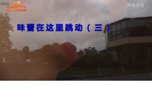 球场美食-长江上的鲜味